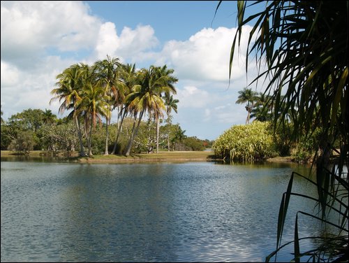 Miami
Fairchild Tropical Gardens