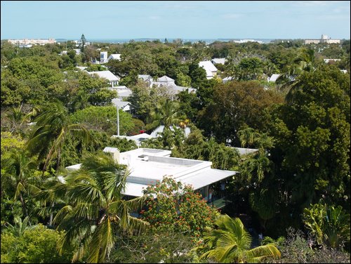 Florida Keys
Key West
Hemingway's House