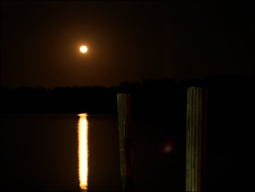 Everglades City
Moon