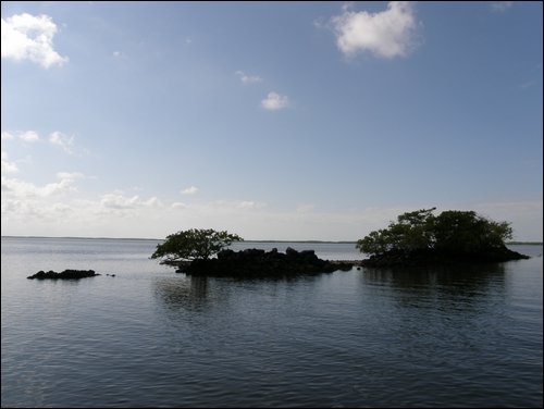 Everglades Nat'l Park
Ten Thousand Islands