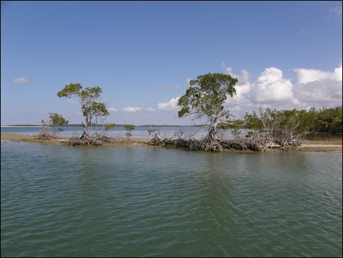 Everglades Nat'l Park
Ten Thousand Islands