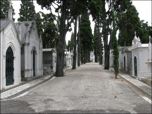 Lissabon
Cemiterio dos Prazeres